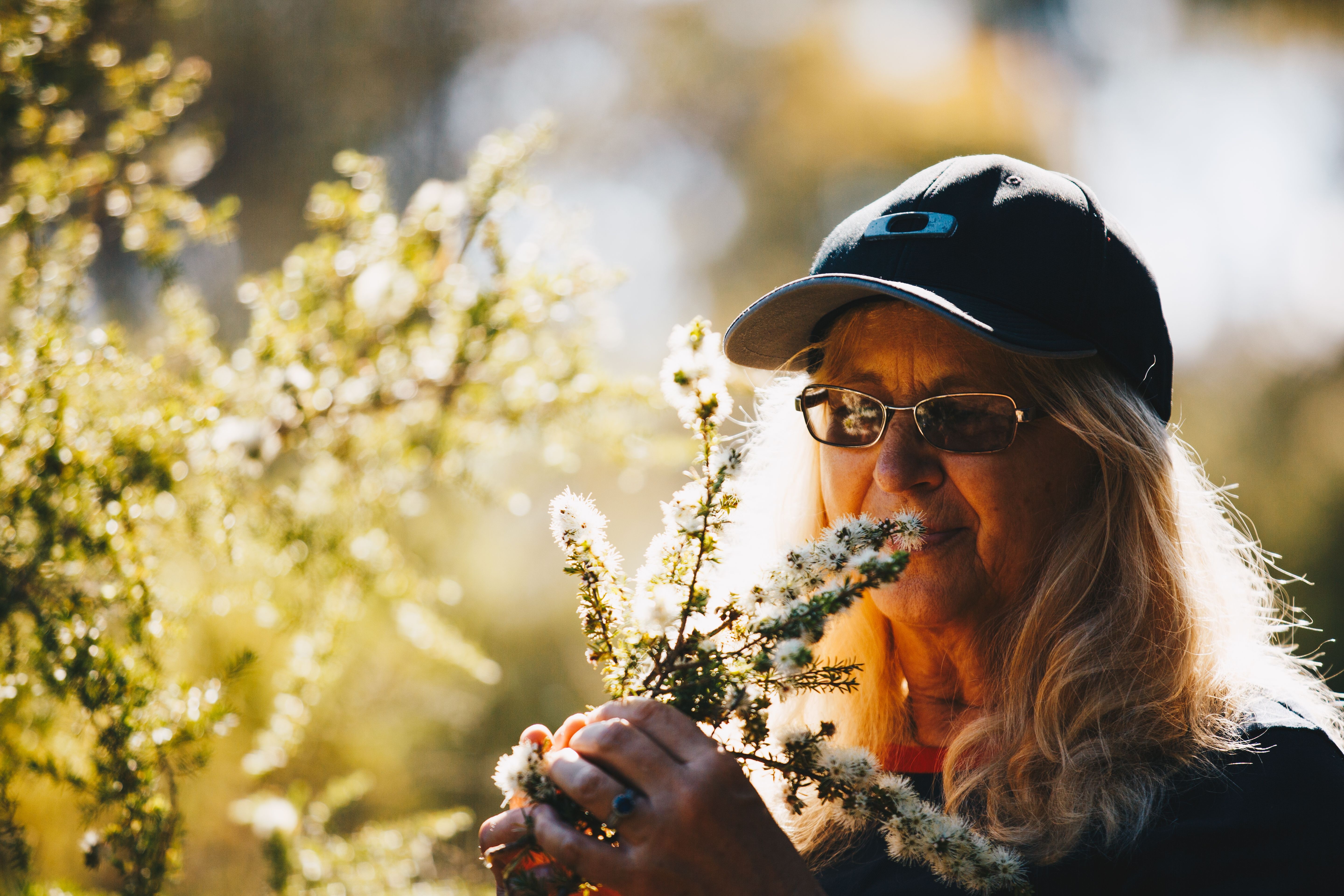 Woman examining native Tasmanian flowers